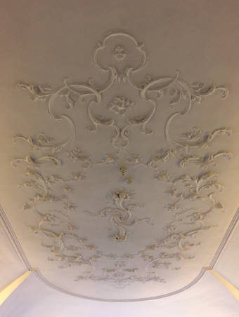 11 Parnell Square, Dublin 1 08 – Saloon Ceiling